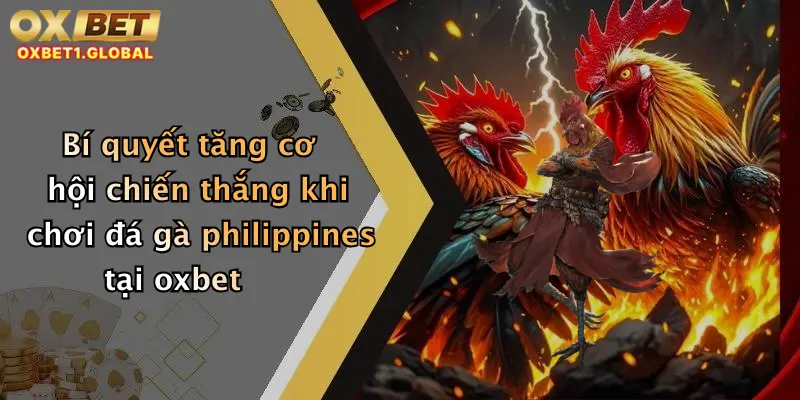 Bí quyết tăng cơ hội chiến thắng khi chơi đá gà philippines tại oxbet