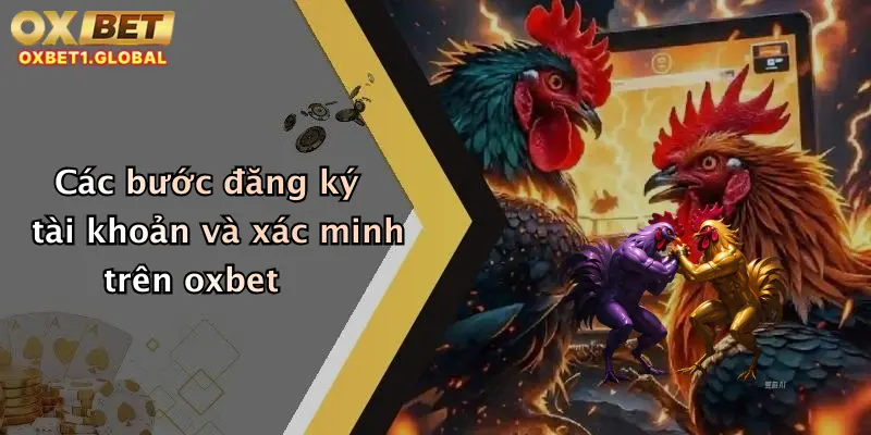 Các bước đăng ký tài khoản và xác minh trên oxbet