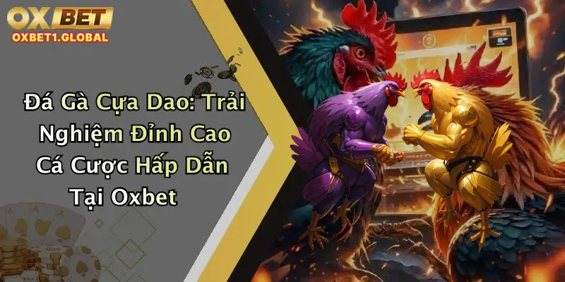 Đá Gà Cựa Dao: Trải Nghiệm Đỉnh Cao Cá Cược Hấp Dẫn Tại Oxbet