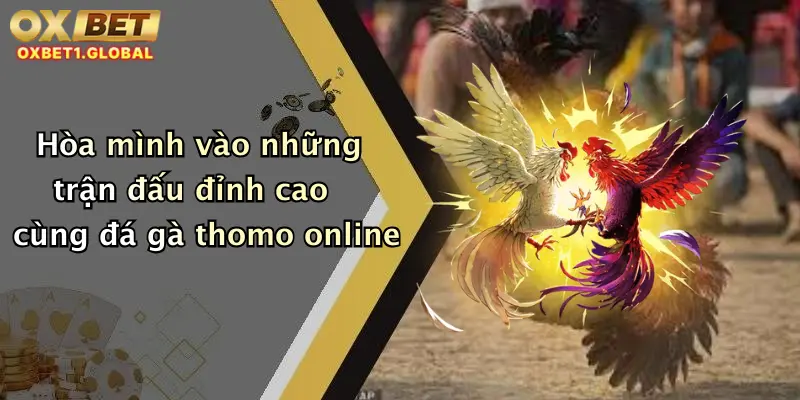 Hòa mình vào những trận đấu đỉnh cao cùng đá gà thomo online