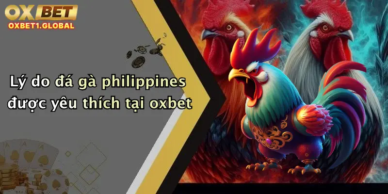 Lý do đá gà philippines được yêu thích tại oxbet