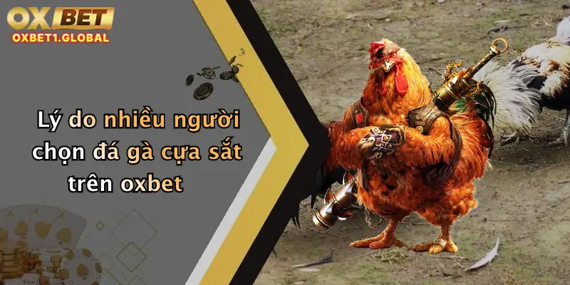 Lý do nhiều người chọn đá gà cựa sắt trên oxbet