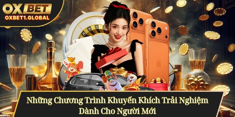 Những Chương Trình Khuyến Khích Trải Nghiệm Dành Cho Người Mới