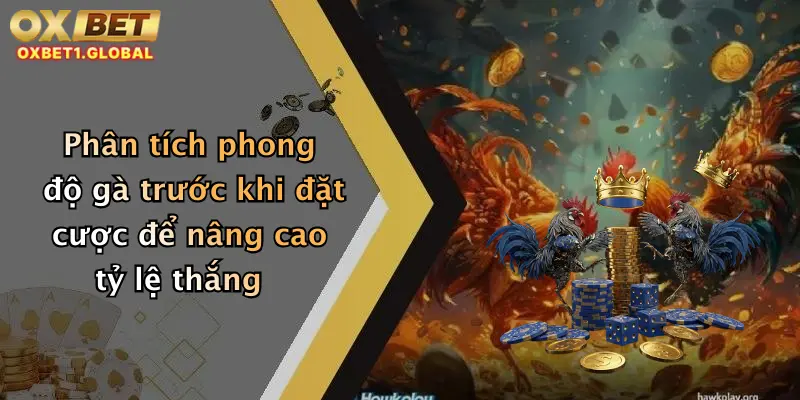 Phân tích phong độ gà trước khi đặt cược để nâng cao tỷ lệ thắng