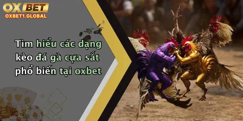 Tìm hiểu các dạng kèo đá gà cựa sắt phổ biến tại oxbet